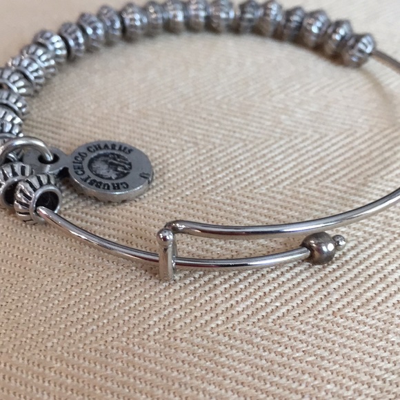 Chubby Chico Charms Stainless steel expandable USA - Picture 6 of 7